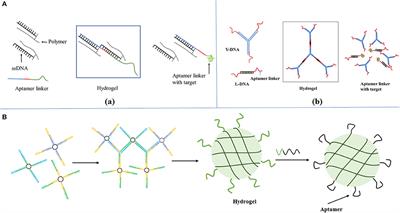 Design, <mark class="highlighted">Bioanalytical</mark>, and Biomedical Applications of Aptamer-Based Hydrogels